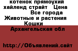 котенок прямоухий  хайленд страйт › Цена ­ 10 000 - Все города Животные и растения » Кошки   . Архангельская обл.